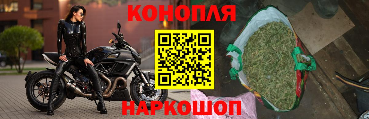 Каннабис OG Kush Саки